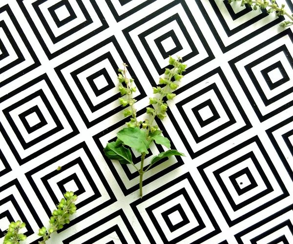 Geometric pattern representing focus and internal balance